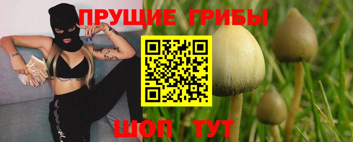 Псилоцибиновые грибы Magic Shrooms Невинномысск